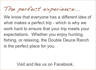 The perfect experience...
We know that everyone has a different idea of what makes a perfect trip - which is why we work hard to ensure that your trip meets your expectations.  Whether you enjoy hunting, fishing, or relaxing, the Double Deuce Ranch is the perfect place for you. 


           Visit and like us on Facebook. 